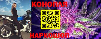 трава Апшеронск