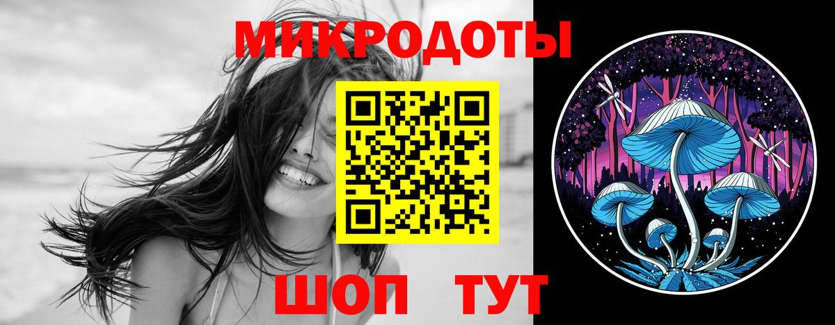 закладки  Псилоцибиновые грибы MAGIC MUSHROOMS  Вход с VPN  Волгоград 